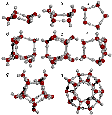 Structural forms found in the icosahedral water cluster; (a) chair-form hexamer; (b) boat-form hexamer; (c) cyclic pentamer; (d) decamer; (e) hexameric box; (f) octamer; (g) pentameric box; (h) dodecahedron